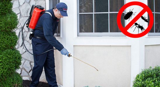 Şenpazar Böcek İlaçlama böcek ilaçlama ve haşere kontrolü — ilaclama-tr.com